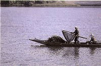 柴漬け漁の写真