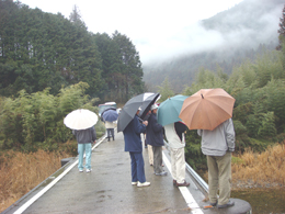 平成20年度 四万十リバーマスター連絡会 “四万十川上流域視察研修”