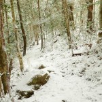 四万十川流域の山々 No.7　“冬ソナ”の世界