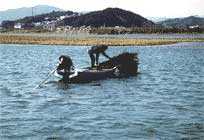 四万十川流域の漁法・漁具