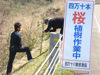 四万十川東部漁業協同組合主催『四万十川沿線に40010本の桜を植える活動』