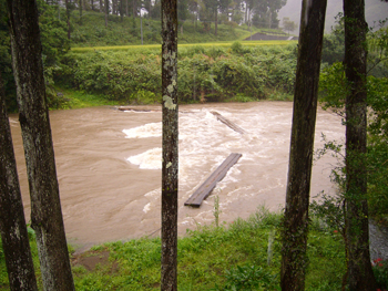 沈下橋の原型と言われる、早瀬の一本橋（津野町）が台風15号の大水で流されています。