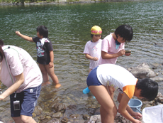 “四万十川の日事業”で、「四万十川水生生物調査」（於：米奥小学校）をしました！