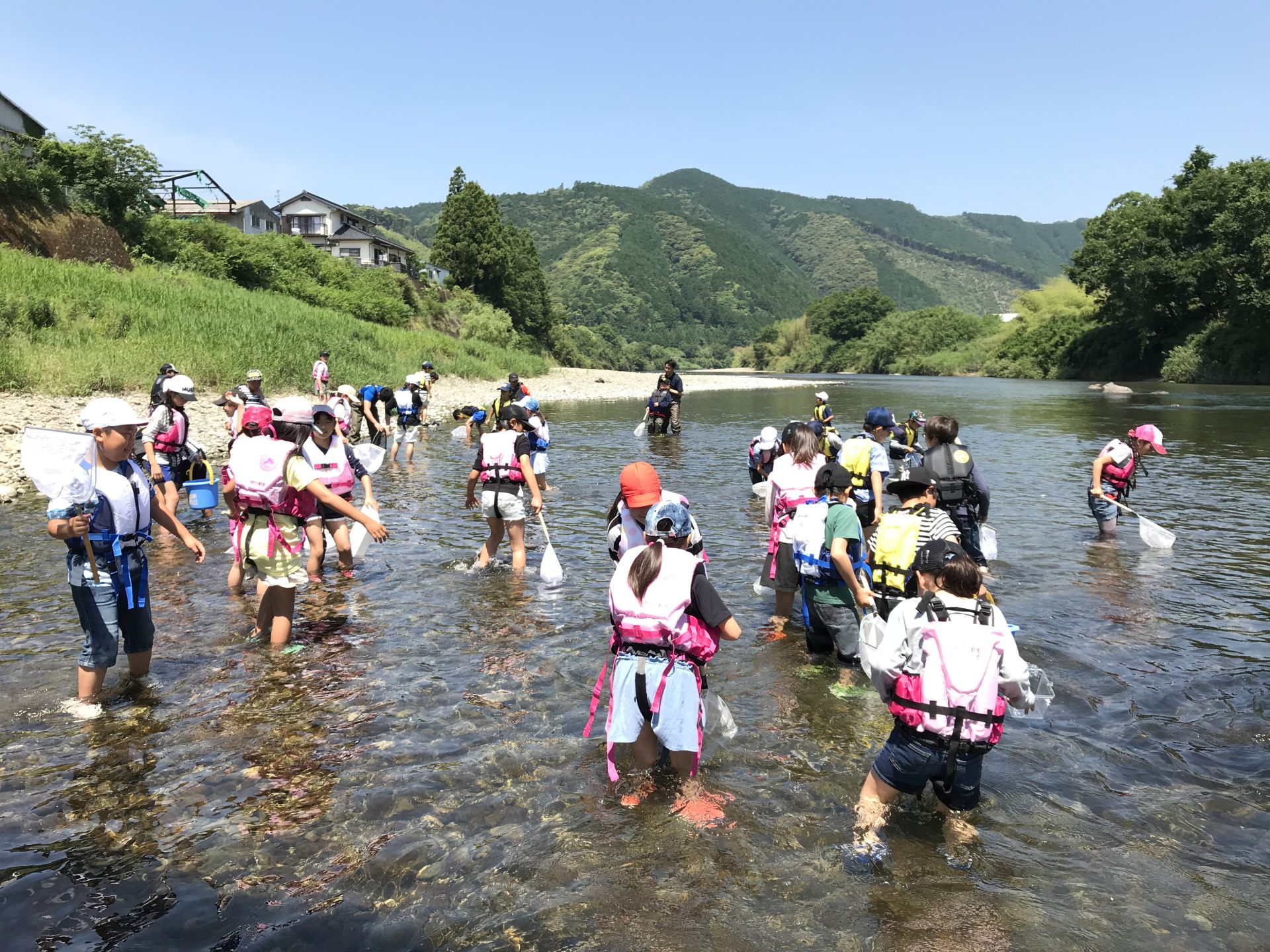 窪川小学校水生生物調査　＠大井野