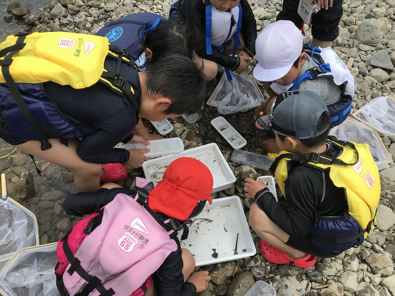 蕨岡小学校　水辺の学校