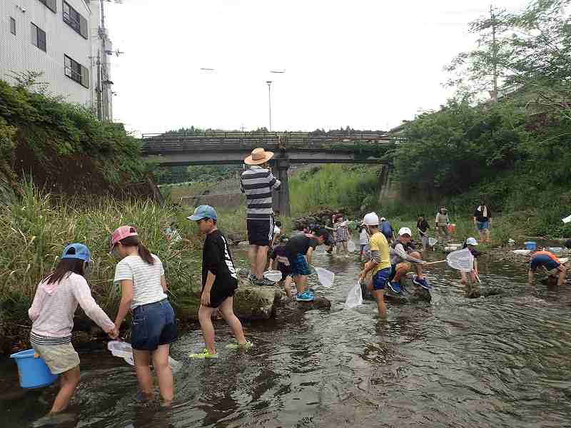 窪川小学校　水生生物調査＠吉見川