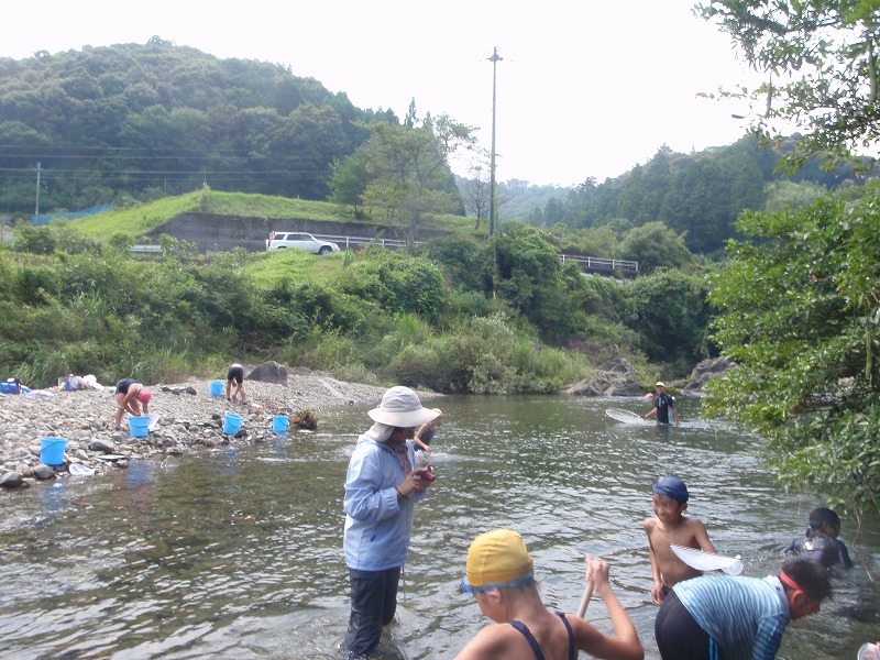 川口小学校　　井細川の水生生物調査