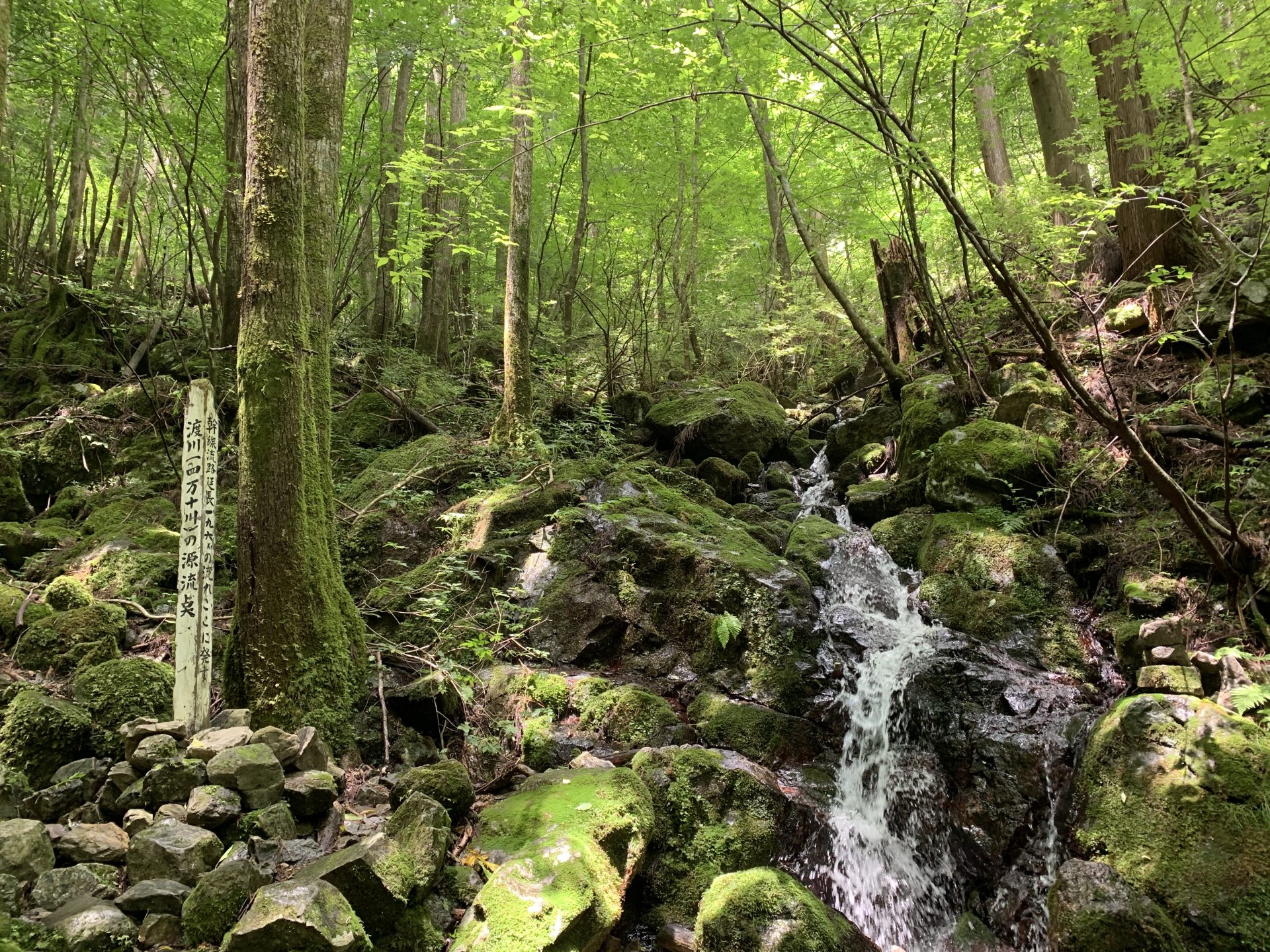 「親子川遊び教室～四万十川のはじまりを探そう！～」を開催しました！