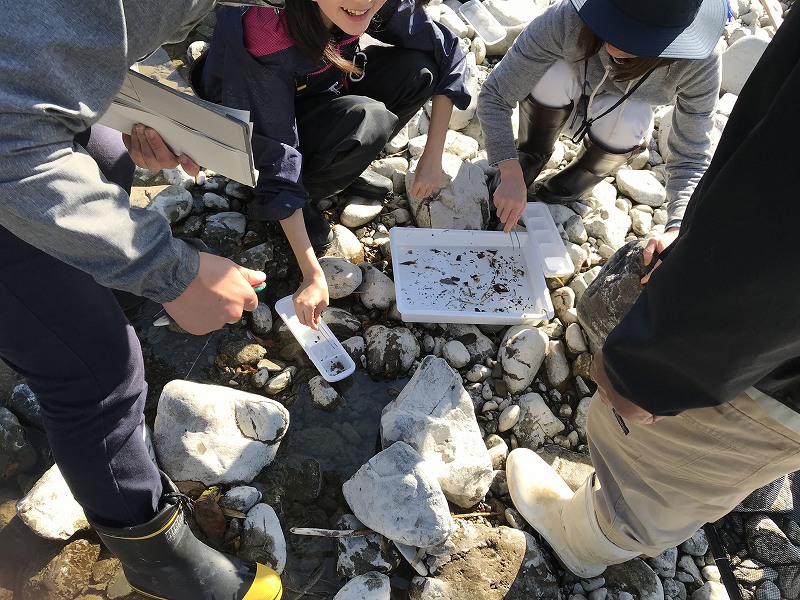 水生生物モニタリング調査＠窪川