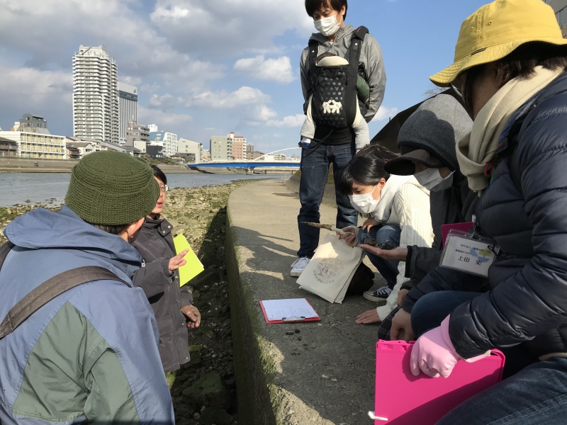 鏡川の貝類観察会
