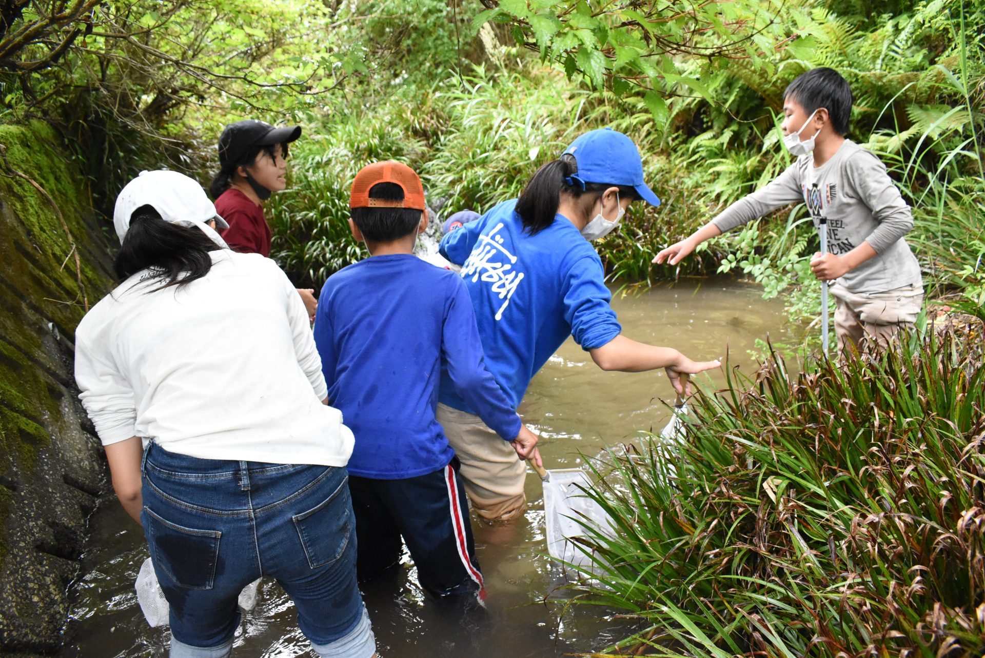 影野小学校　ビオトープ観察