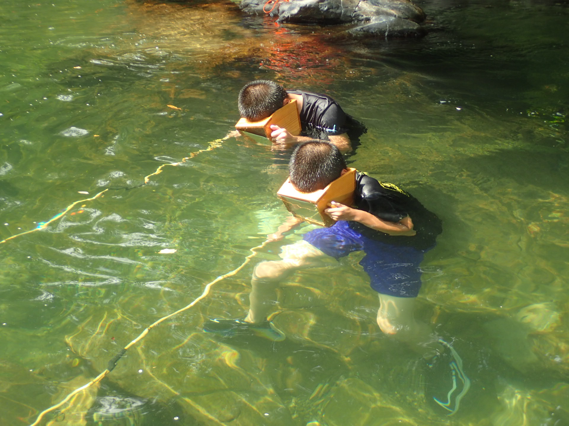 協働の川プロジェクト5回目　中学生が天然鮎のしゃくり漁に挑戦！