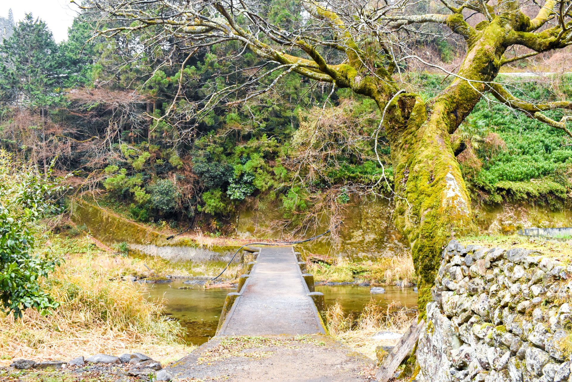 ３０　竹の薮沈下橋