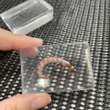アクリル標本作りに挑戦！！