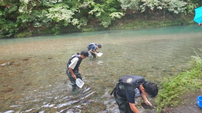 高知大学生と水生生物調査