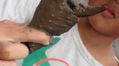 【水辺の楽校】具同小学校の生徒たちと干潟観察をしました。