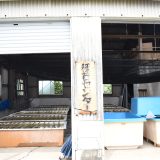 ヒトエグサ人工種苗生産方法