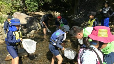 八束小学校　水辺の楽校