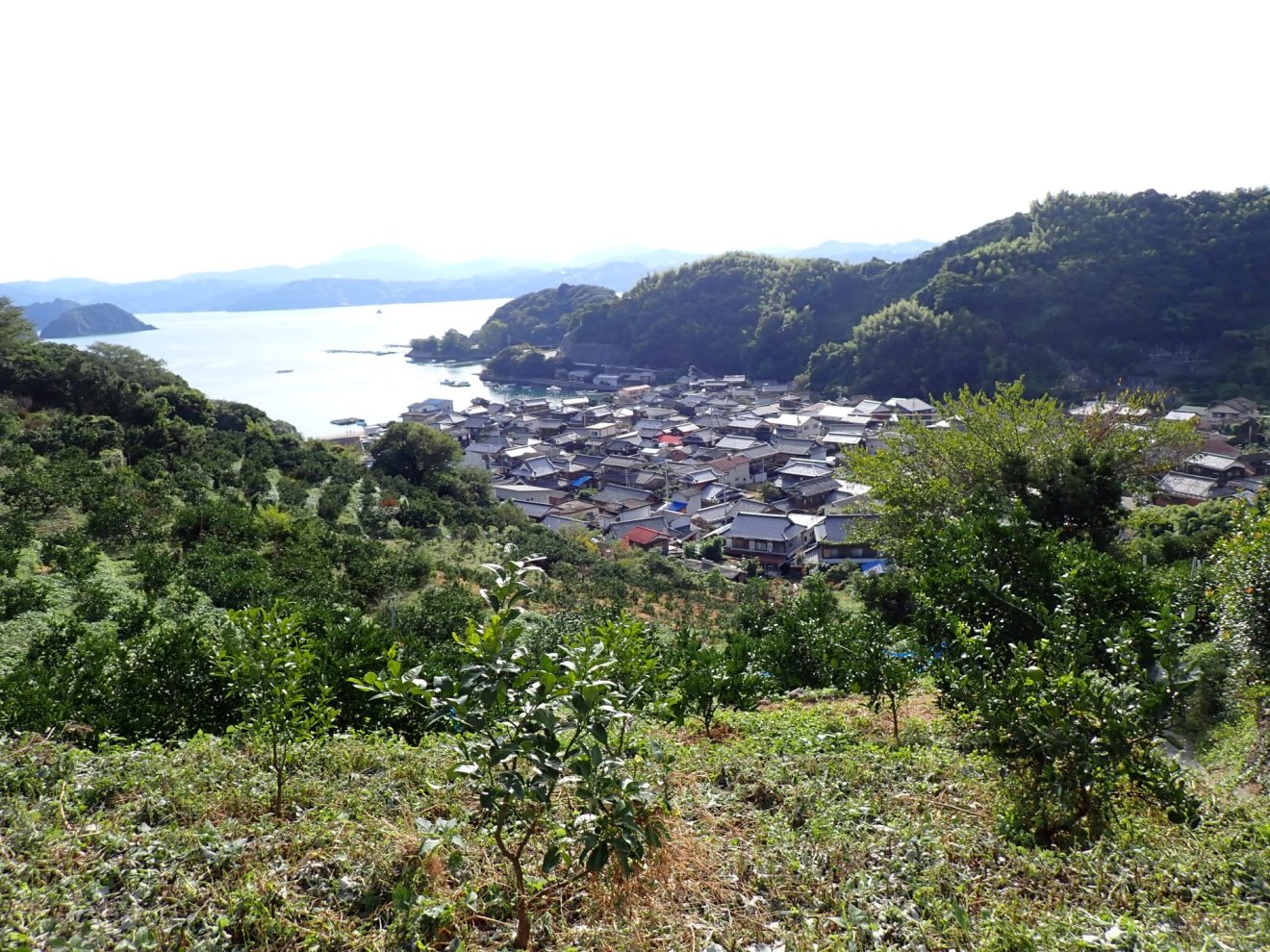 全国文化的景観連絡協議会＠西予