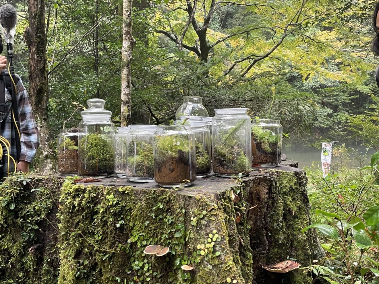 🌲 森に親しむ ― チェアリングと苔テラリウムづくり 開催レポート