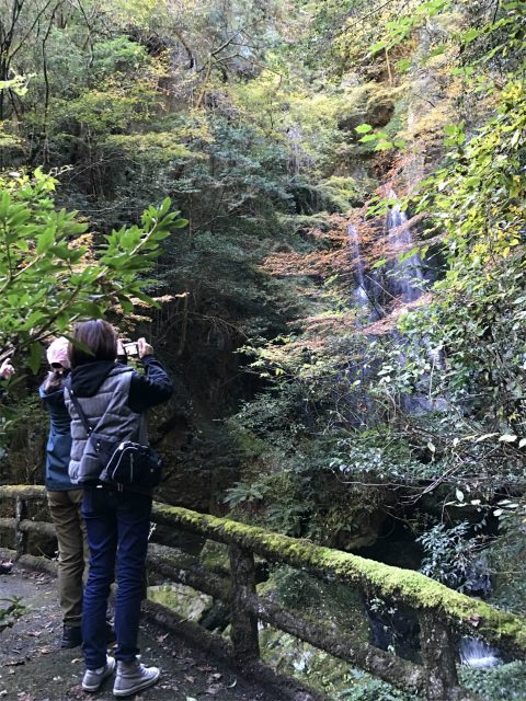 四万十の水辺八十八ヶ所めぐり～上流の水辺～バスツアー