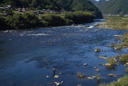 四万十川の魚 7 アカメ – 公益財団法人 四万十川財団
