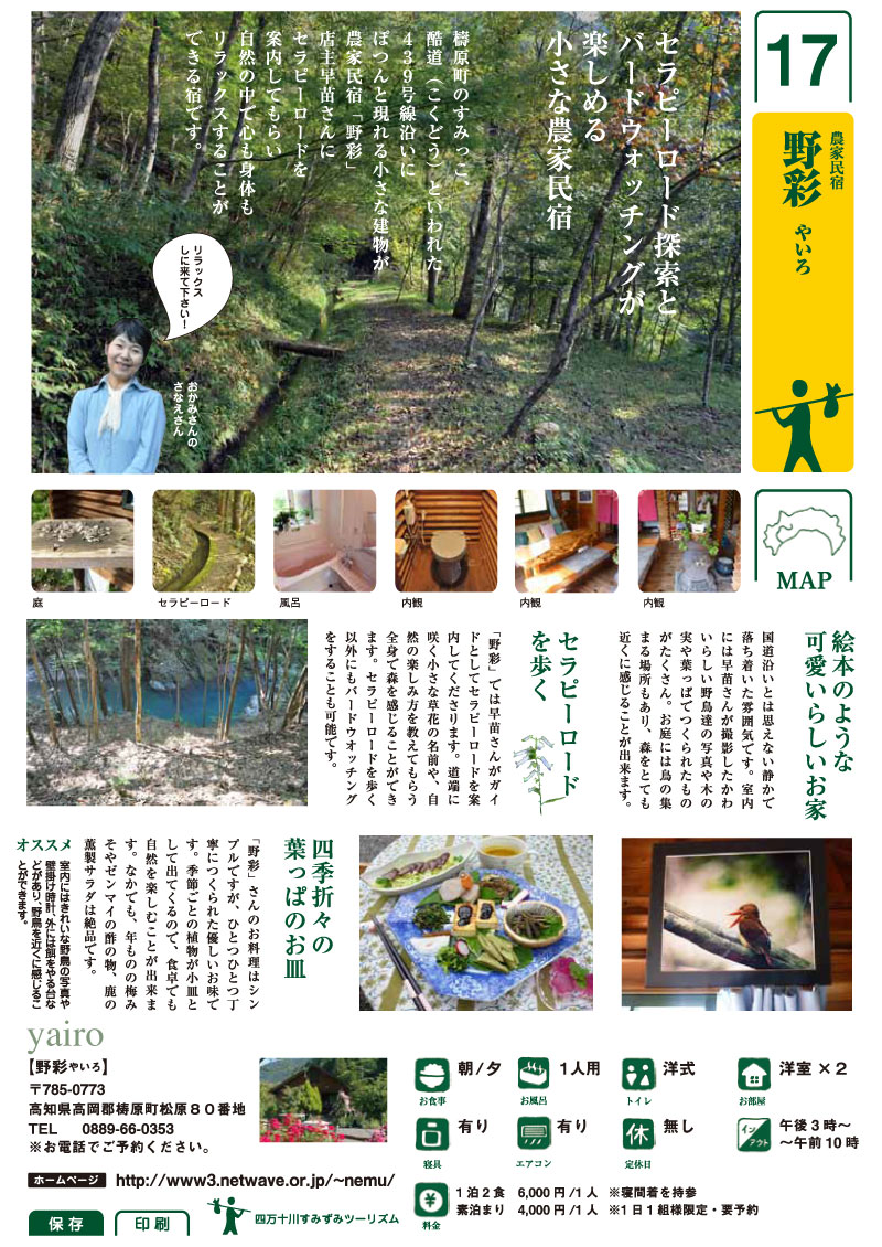 野彩